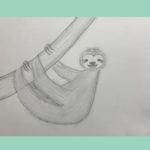sloth draw